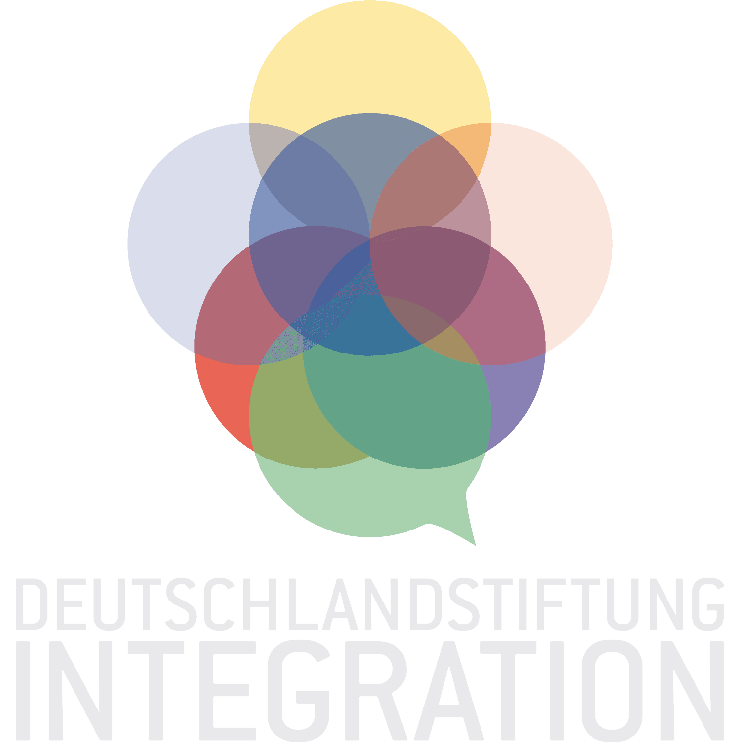 Deutschlandstiftung Integration (DSI)